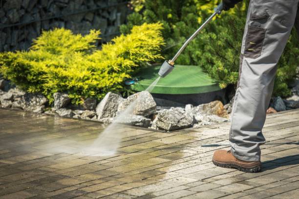 Boat and Dock Cleaning in Rose Valley, PA