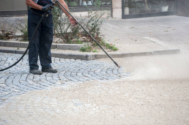 Best Roof Washing  in Rose Valley, PA