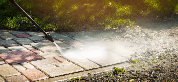 Best Animal Enclosure Cleaning  in Rose Valley, PA
